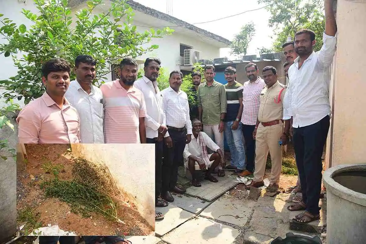 Ganja | ఇంటి పెరట్లో గంజాయి.. అరెస్టు చేసిన పోలీసులు