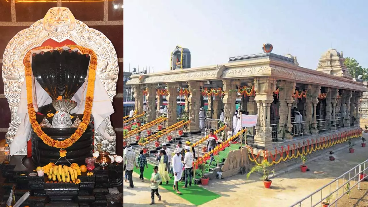 Nagoba Jatara | గిరిజన సంస్కృతికి అద్దం పట్టే నాగోబా జాతర.. దీని విశేషాలు ఎంటో తెలుసా..?