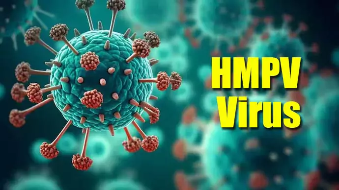 HMPV Virus