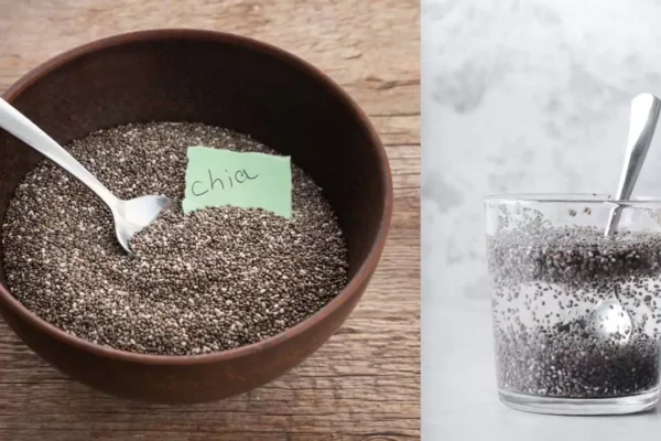 Benefits of Chia Seeds