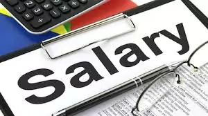 Salaries in India