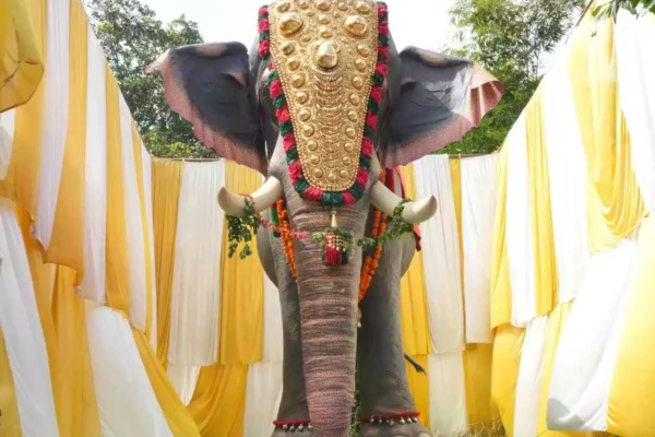 Elephants