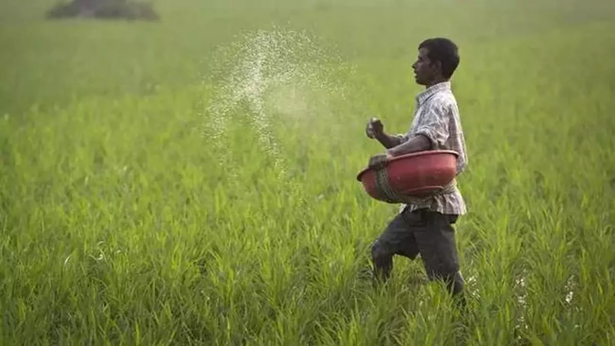 Urea Shortage : తెలంగాణలో తీవ్రమైన యూరియా కొరత, ఆందోళనలో అన్నదాతలు