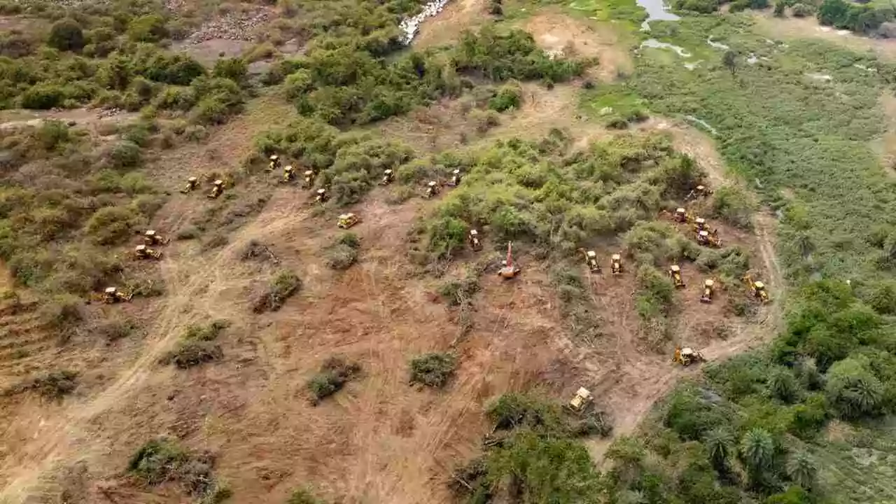 Kancha gachibowli issue | కంచ గచ్చిబౌలి ఘటనపై సుప్రీం సీరియస్