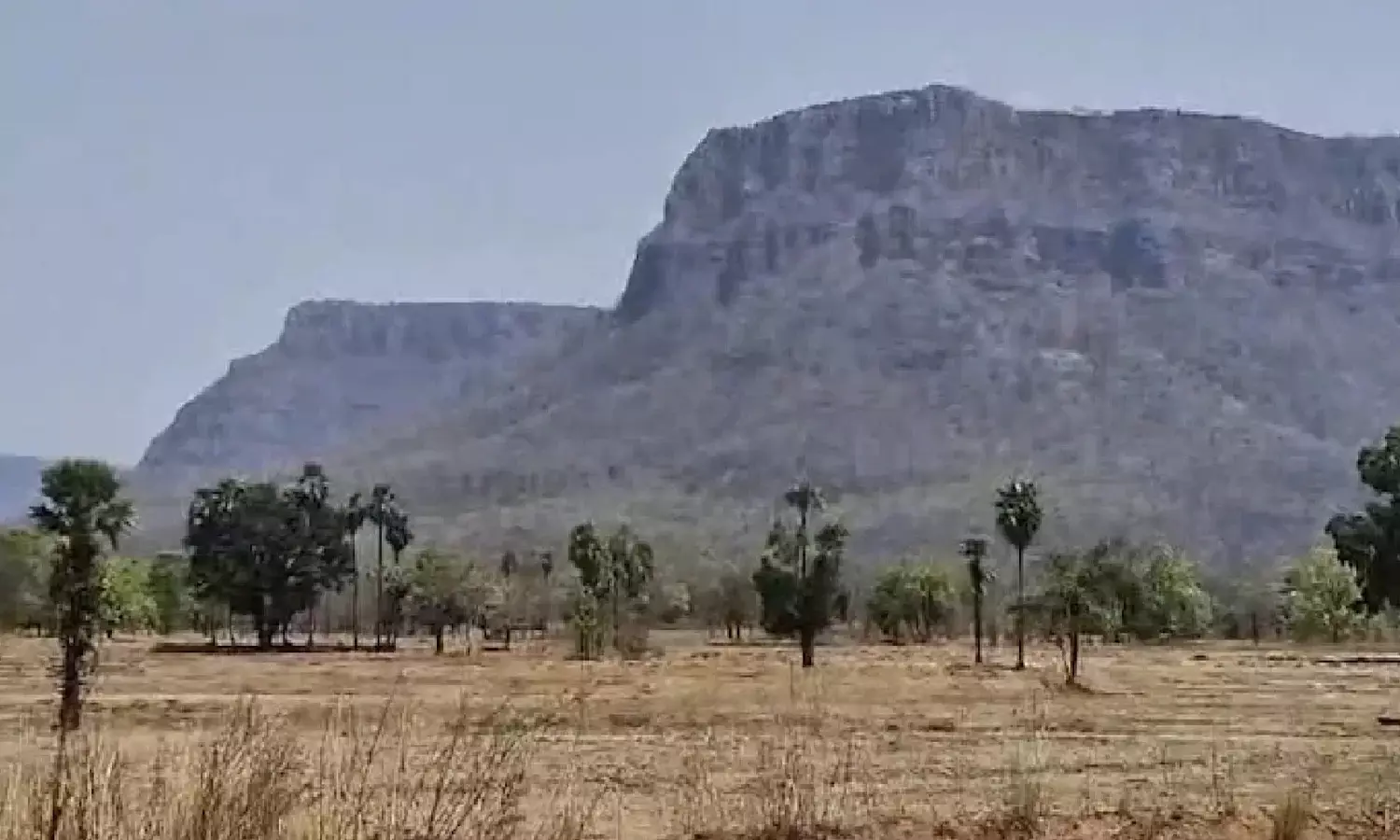 Karregutta | కర్రెగుట్టల్లో సొరంగం.. విస్తుబోయిన పోలీసులు