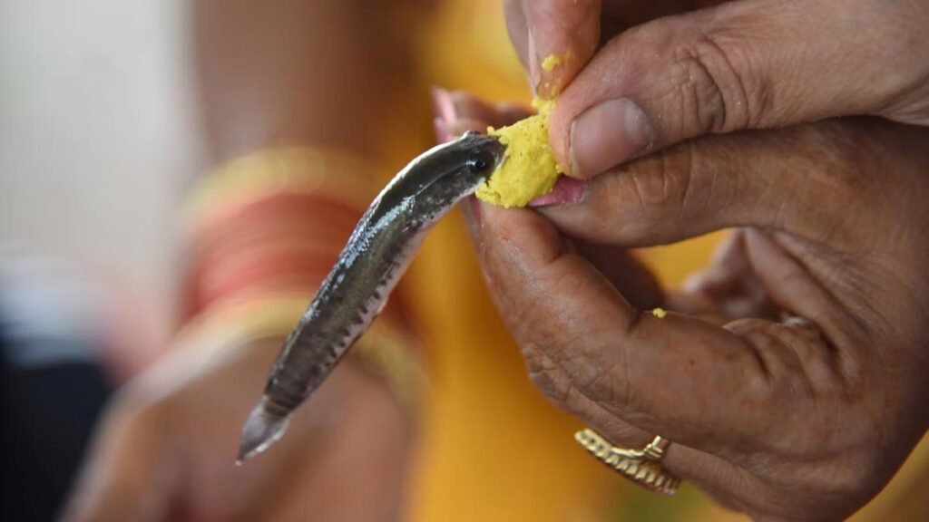 hyderabad Fish Prasadam 2025