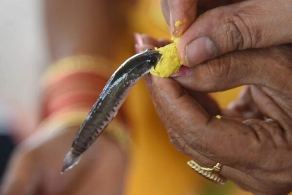 hyderabad Fish Prasadam 2025