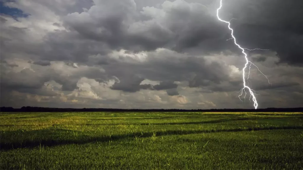 Lightning strike incident in Adilabad