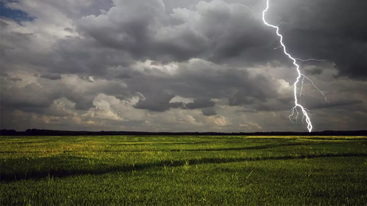 Rains | నేడు ఐదు జిల్లాల్లో భారీ వర్షాల హెచ్చరిక