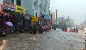 Warangal Rains