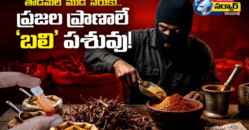 ఇది ‘కారం’ ఘాటు కాదు.. పచ్చి విషం!  వరంగల్​ మార్కెట్‌లో కల్తీ మిర్చి మాఫియా – Adulterated Chili Powder