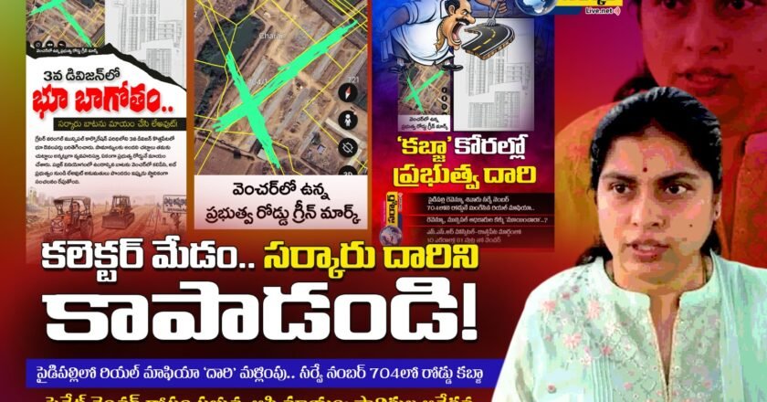 కలెక్టర్ మేడం.. ప్రభుత్వ రోడ్డును రక్షించండి!