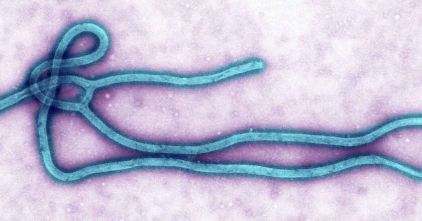 Ebola Virus | బోలా కలకలం: డబ్ల్యూహెచ్‌ఓ గ్లోబల్ హెల్త్ ఎమర్జెన్సీ ప్రకటన.. భారత్‌ అప్రమత్తం!