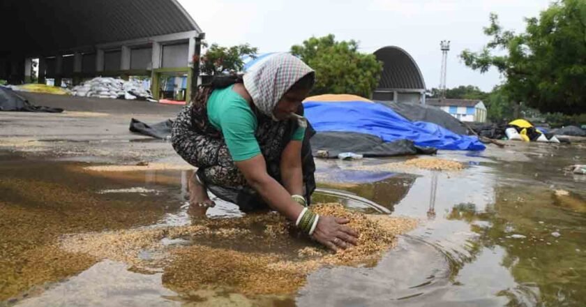 Rains | అన్నదాతకు కన్నీటి ‘వర్షం’: రాష్ట్రవ్యాప్తంగా తడిసి ముద్దయిన ధాన్యం.. కొట్టుకుపోయిన వడ్ల కుప్పలు!